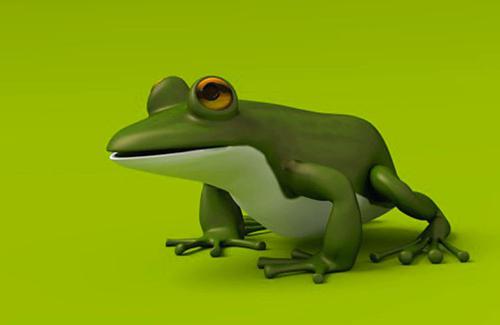 Grenouille, Frog preview image